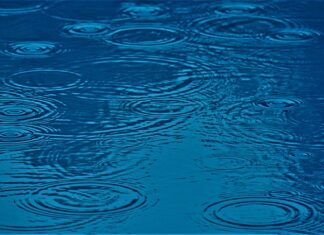 Co ma wpływ na charakter człowieka?