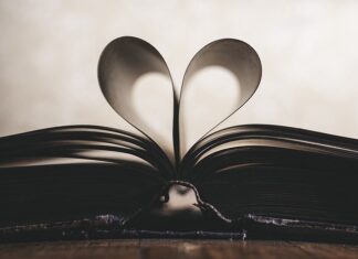 Ile kosztuje profesjonalna strona internetowa?