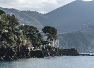 Ile kosztuje wyprodukowanie 1 koszulki?