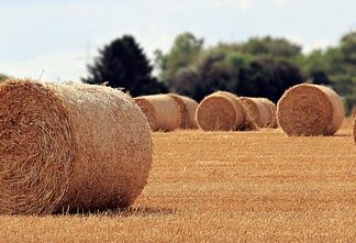 Jaka jest rola pracy w życiu człowieka?
