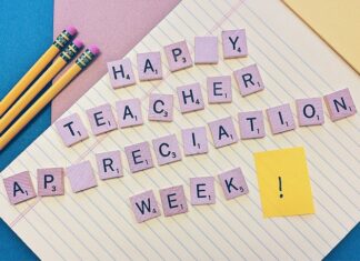 Czy można być pedagogiem bez studiów?