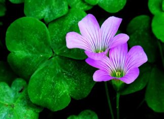 Jak przyciągnąć uwagę odbiorców?