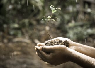 Jaki rozwój osobisty? Jaki rozwój osobisty?