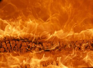 Jak zbudować swoją markę? Jak zbudować swoją markę?