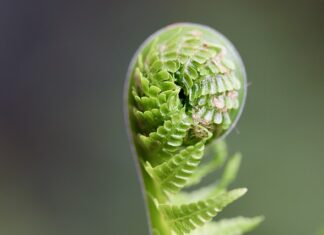 Jak rozwijać swoje social media? Jak rozwijać swoje social media?