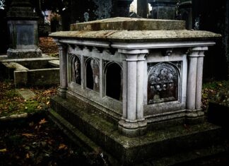 Co ma być zamiast wosu?