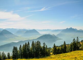 Czy komornik może zająć bitcoina?