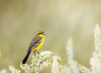 Jak poznać prawdziwego siebie?