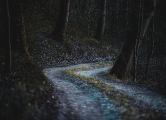 Co to jest najgorsza cecha osobowości? Co to jest najgorsza cecha osobowości?