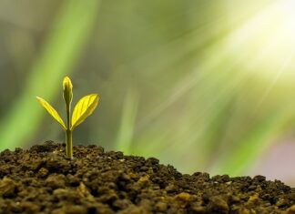 Jak zaplanować rozwój zawodowy?