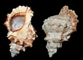 Jak wypracować sobie nawyk systematycznej nauki?