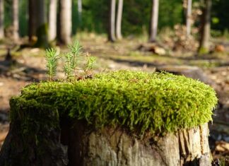Jak zregenerować się psychicznie? Jak zregenerować się psychicznie?