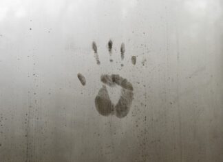 Co składa się na system identyfikacji wizualnej przedsiębiorstwa?