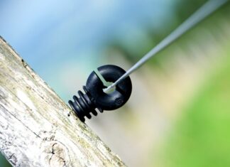 Ile Polaków pracuje w NASA?