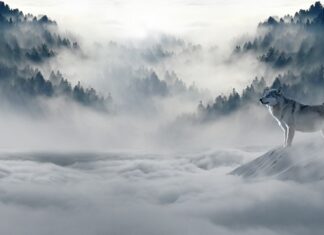 Co wpływa na złą atmosferę w pracy?