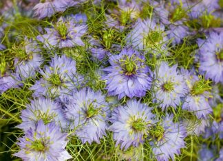 Czy na LinkedIn widać kto oglądał mój profil?