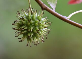 Kiedy wiadomo że związek nie ma sensu?