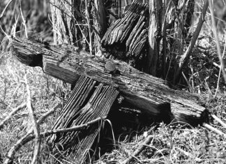 Jak zrobić czarny PR? Jak zrobić czarny PR?