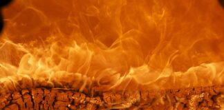 Co składa się na markę?