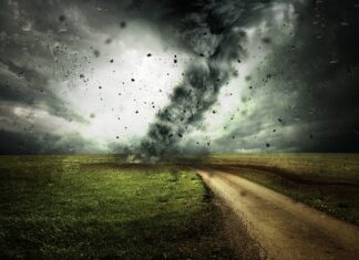 Ile czasu trwa zmiana nawyków żywieniowych?