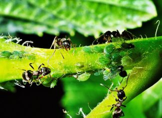 Dlaczego nie mogę nawiązać kontaktu na LinkedIn?