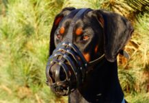 Jak stać się bardziej zdyscyplinowanym?