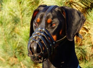 Jak stać się bardziej zdyscyplinowanym?