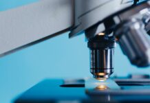 Jak się dzieli biotechnologia?