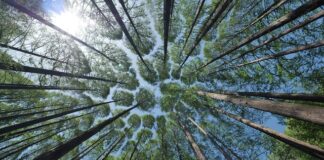 Jak pokonać nieśmiałość w łóżku?