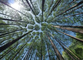 Jak pokonać nieśmiałość w łóżku?