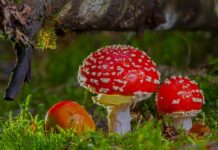 Kiedy związek jest toksyczny?