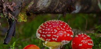 Kiedy związek jest toksyczny?