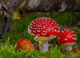 Kiedy związek jest toksyczny?